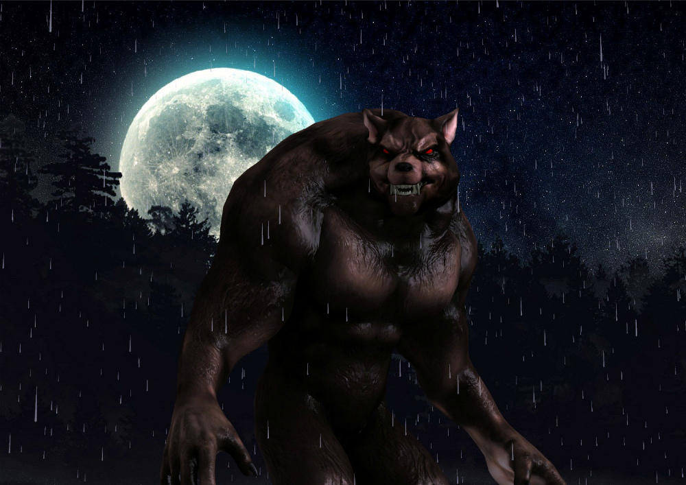 Werewolf Ralph Raphael Werewolf Full Of Moonight by AlinaWerewolf6543 on DeviantArt