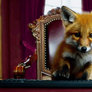Just A Cute Fox Cub
