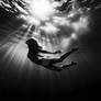 Submersed (Open) Adoptable