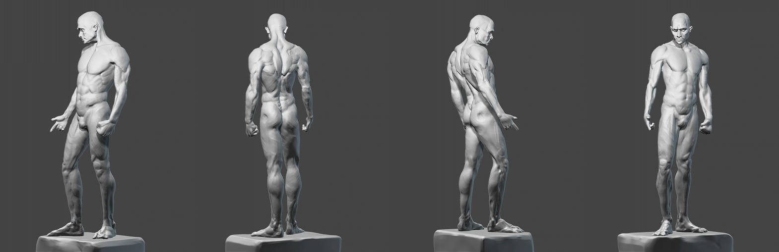 Male figure study