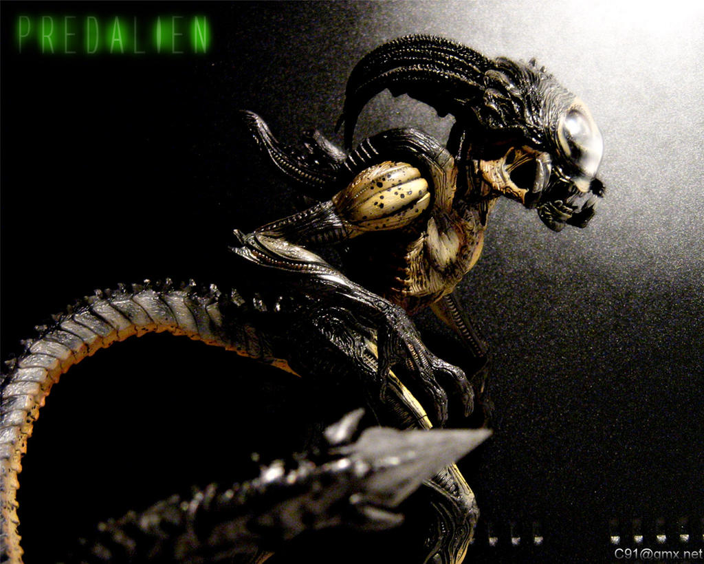 Predalien Wallpaper by C91 on DeviantArt