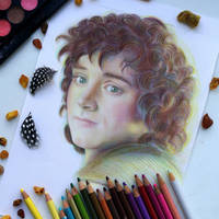 Frodo Baggins (Wip) The Lord of the Rings