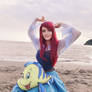 Ariel