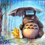 Rainy day