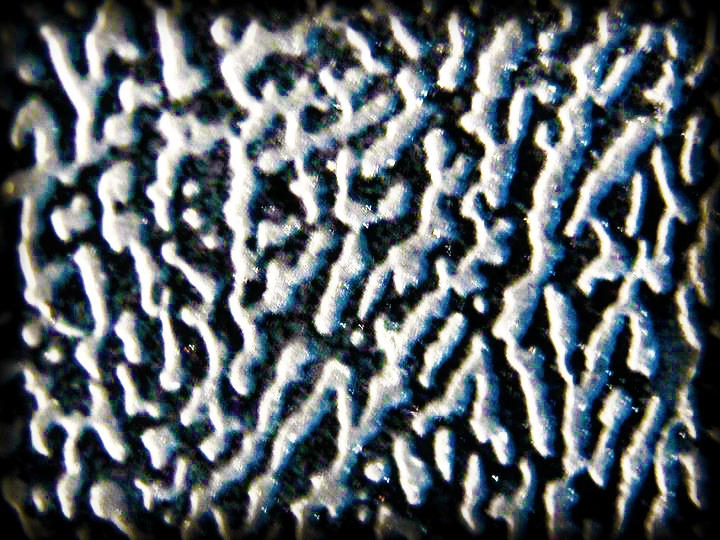 Alien Skin by summerstone on DeviantArt