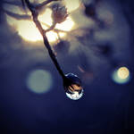 Trust by InLightImagery
