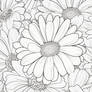 Floral Coloring Book Page #18