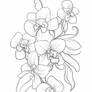 Floral Coloring Book Page #351