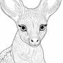 Wallaby - Free Printable Coloring Page