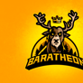 Baratheon Sport logo