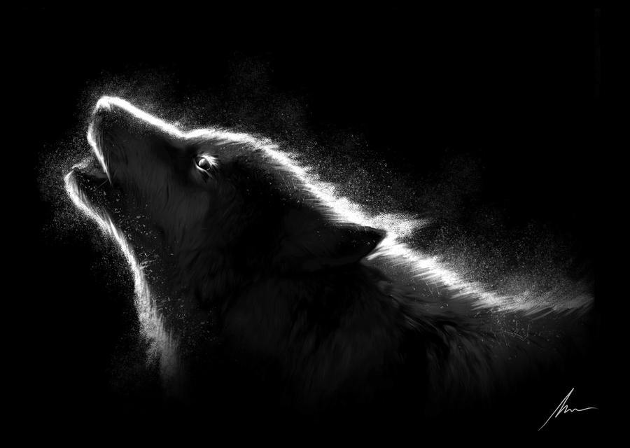 Wolf in the Dark by mathiasmoor on DeviantArt