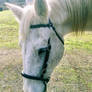 Hope this doesnt post sideways, check indi