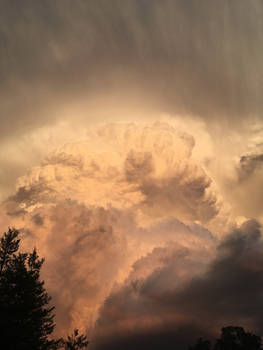 Pretty sky yesterday