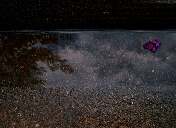 gutter puddle by foreground on DeviantArt