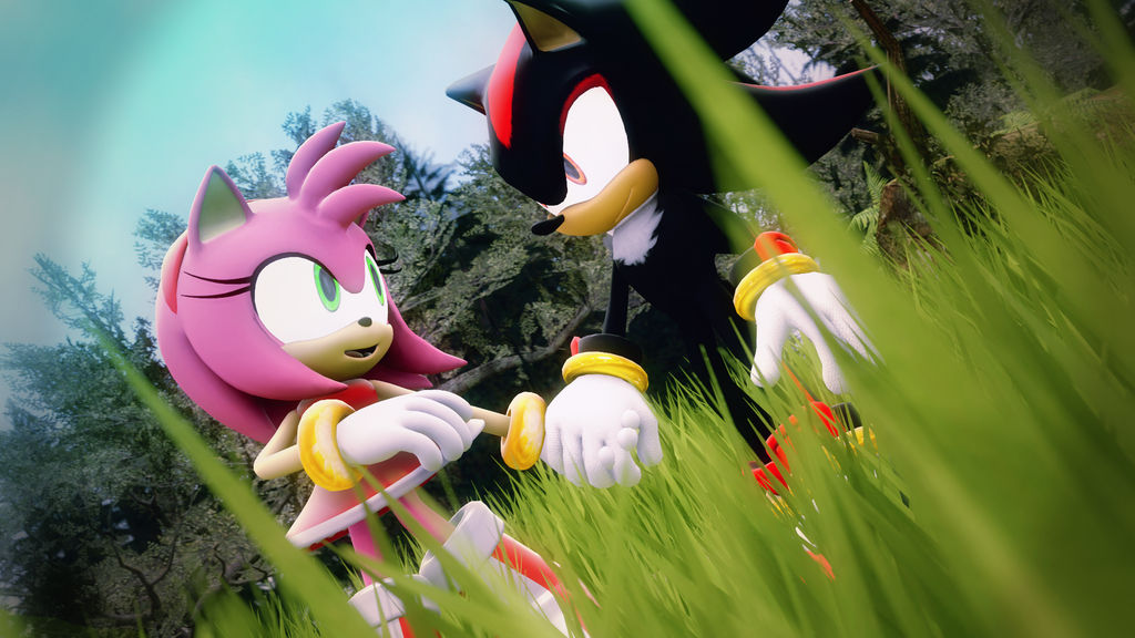 Amy and Shadow by ShadamyFan4everS on DeviantArt