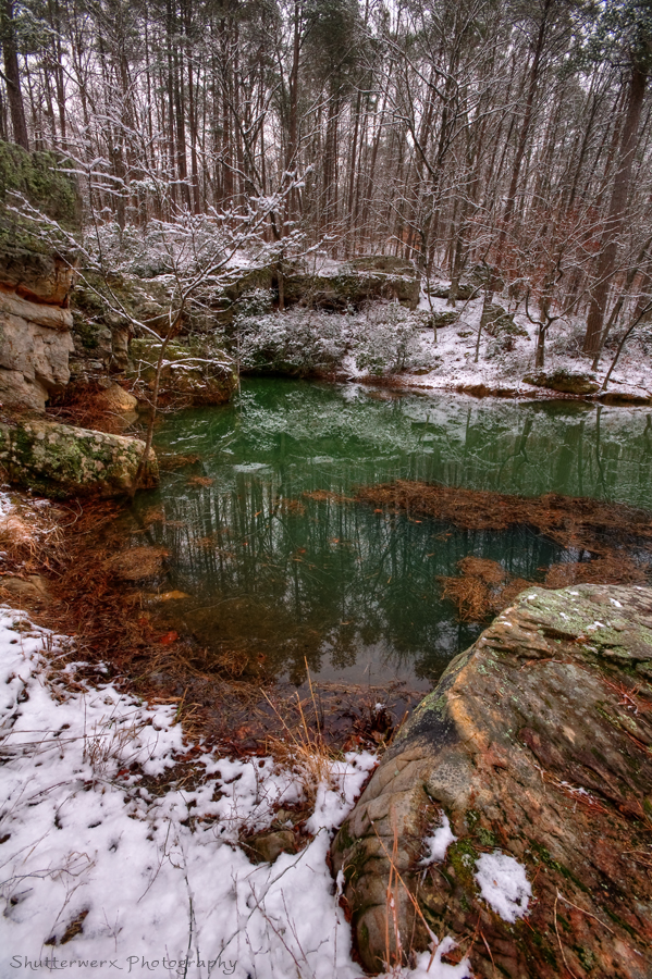 Winter's Beauty