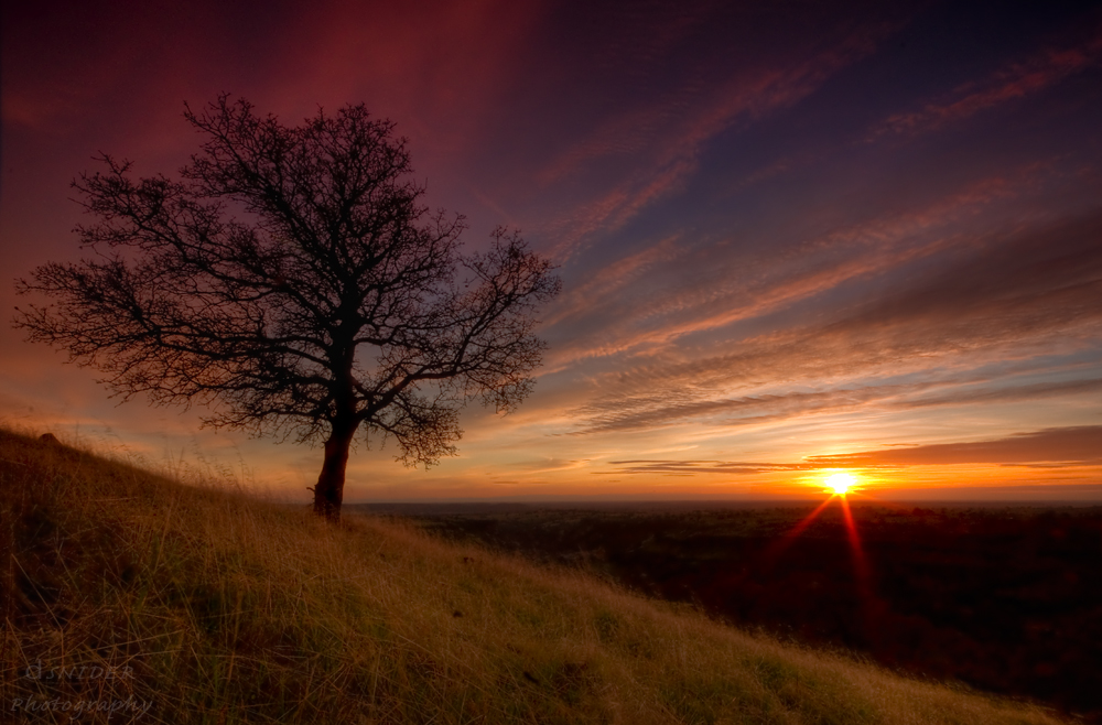 Hillside Peace