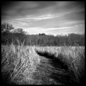 Shaw Nature Reserve.