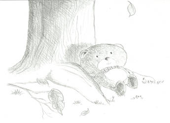 Resting Bear