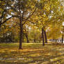 Autumn colors 07