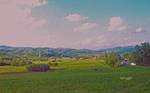 June countryside