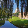 under the weeping willow