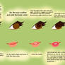 How To : Eyes + Lips