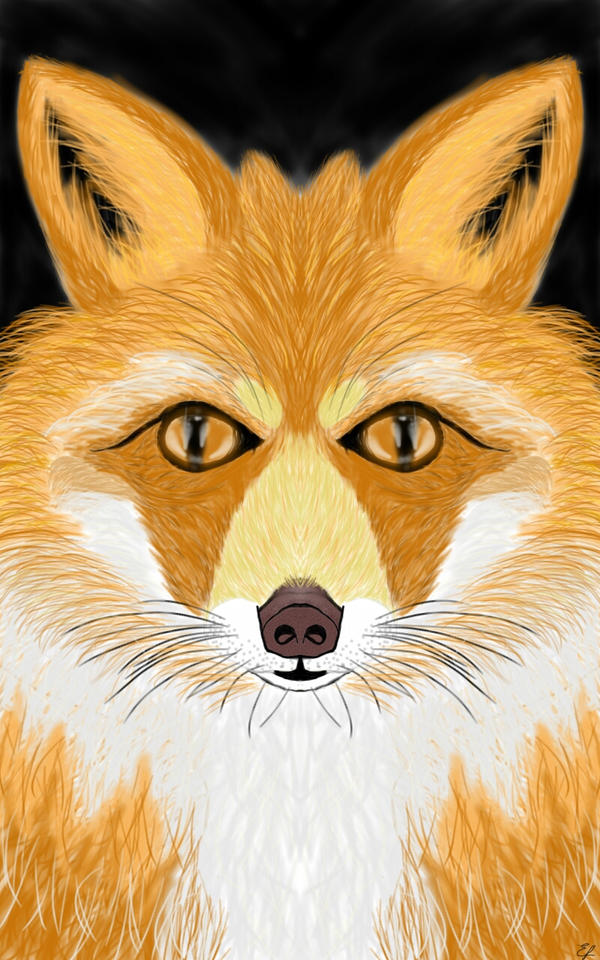 Fox Character Deviantart Fox by ellierowe31 on DeviantArt