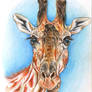 portrait of a giraffe