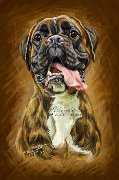 Deviantart Boxer Dog boxer by 50dd on DeviantArt