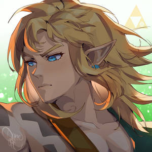 Link | The legend of Zelda