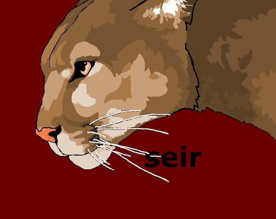 Seir Icon seir by jackalopeness on DeviantArt