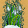 snowdrops