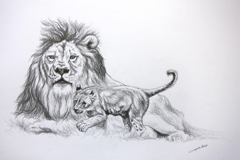 Dessin Lion Lionceau By Jibudp On Deviantart Dessin Lion Lionceau By Jibudp On Deviantart