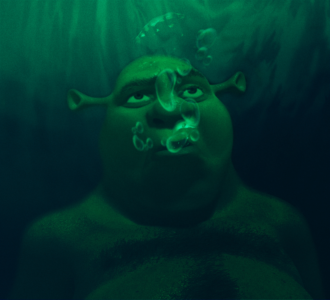 Shrek - Bubbly Situation by TheYoungHistorian on DeviantArt