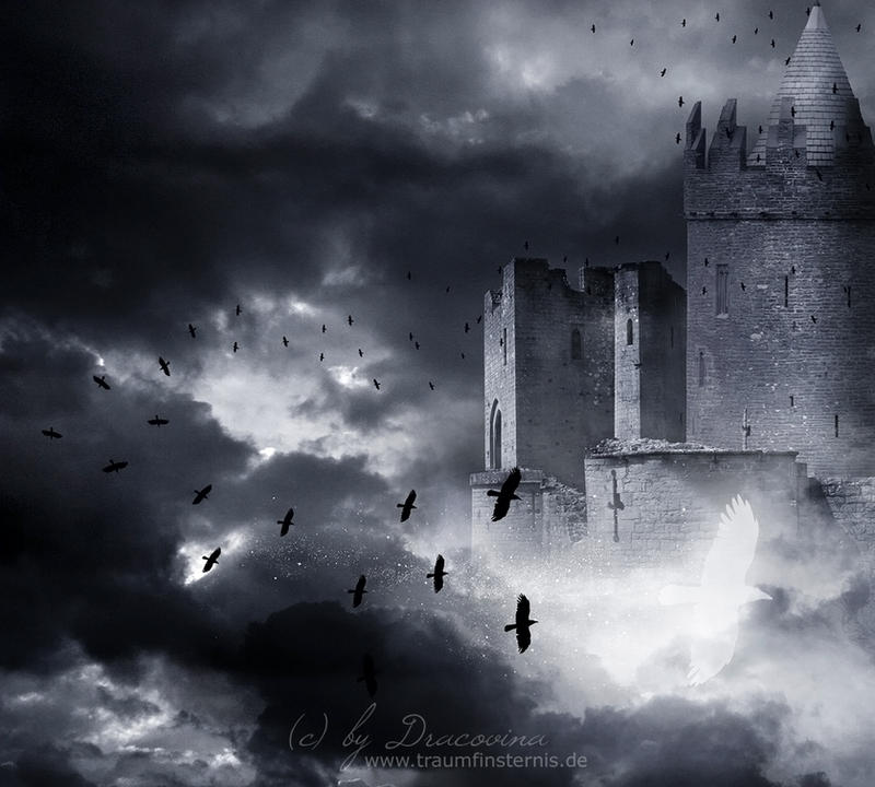 Ghost Crow by Dracovina on DeviantArt