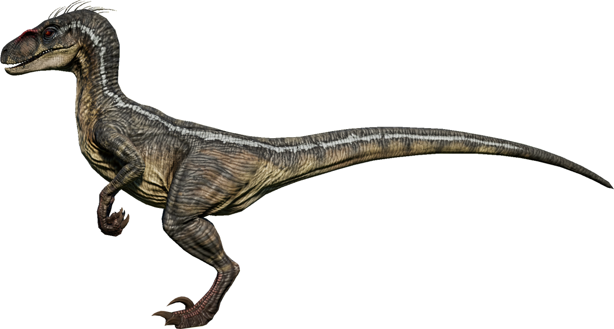 velociraptor jurassic park 3 2001 Maschio by 3383383563 on DeviantArt