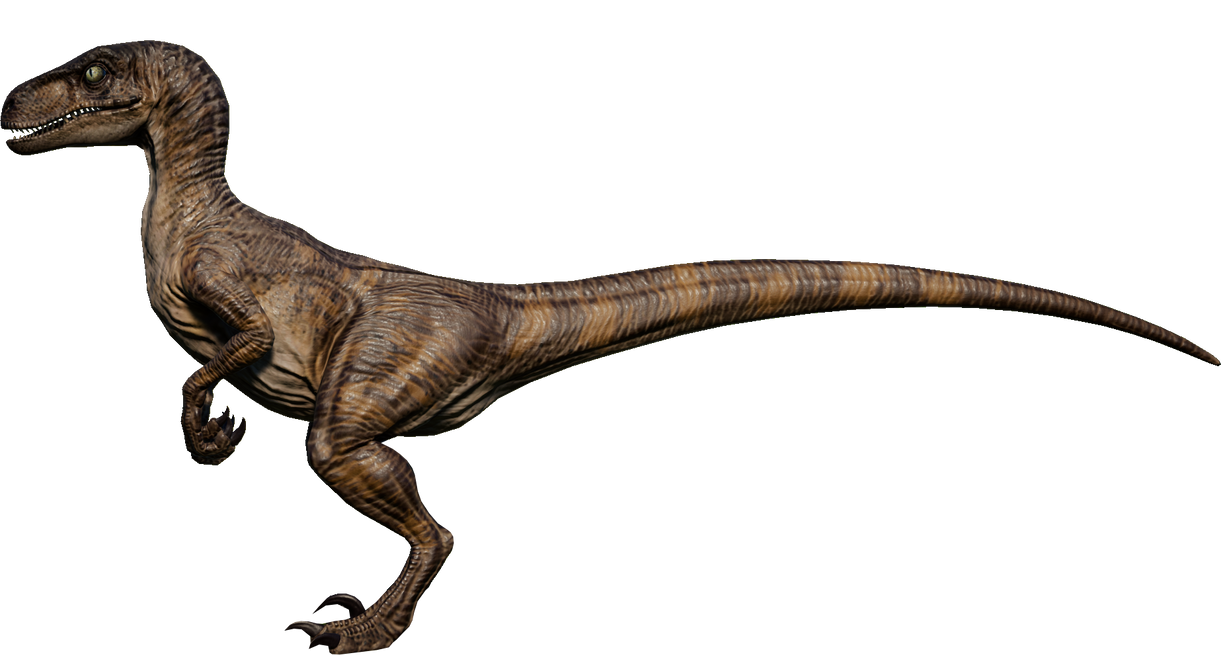 Jp1 Raptor velociraptor jurassic park 1993 by 3383383563 on DeviantArt