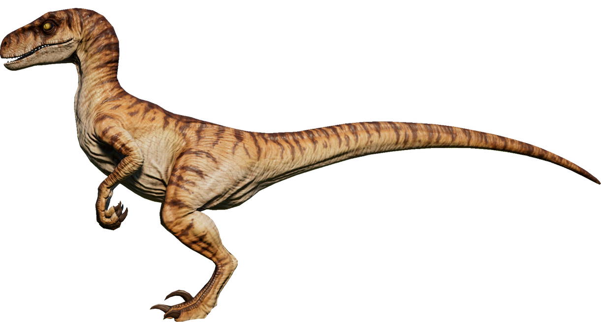velociraptor the LW JP 1997 Maschio by 3383383563 on DeviantArt