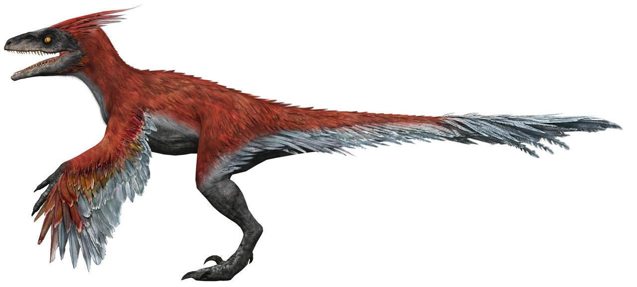 size pyroraptor the jurassic world by 3383383563 on DeviantArt