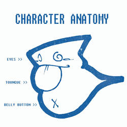 Character Anatomy