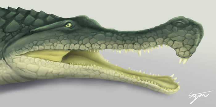 A monster Crocodile- up close