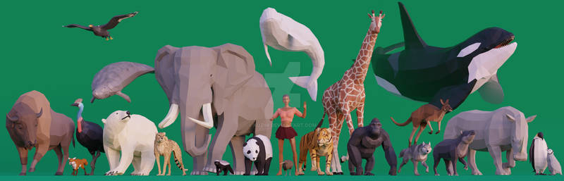 Low Poly Danielle and Friends: World Wildlife Day