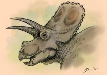 Torosuarus Sketch
