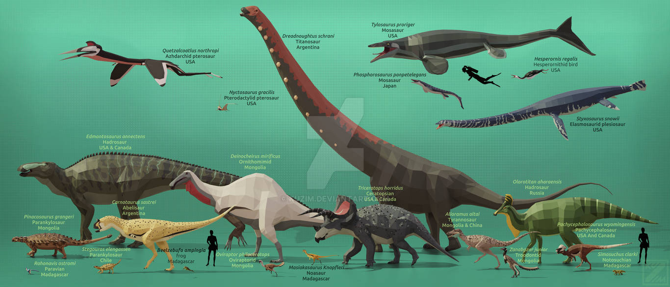 Late Cretaceous Late Cretaceous How old is the anglerfish’s lure?