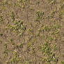 Seamless patched grass