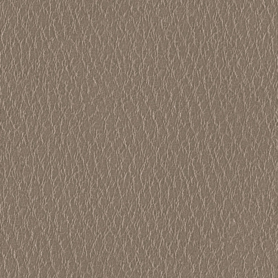 Seamless leather texture