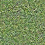 Seamless high res grass texture