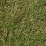 Grass turf lawn green ground field texture