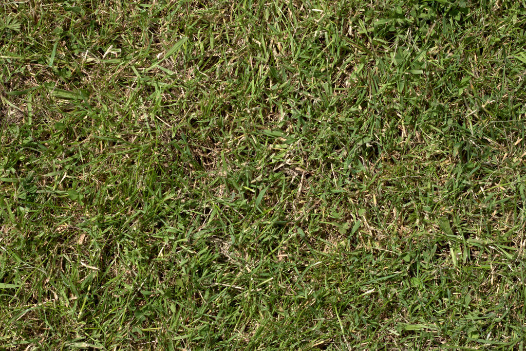 Grass turf lawn green ground field texture